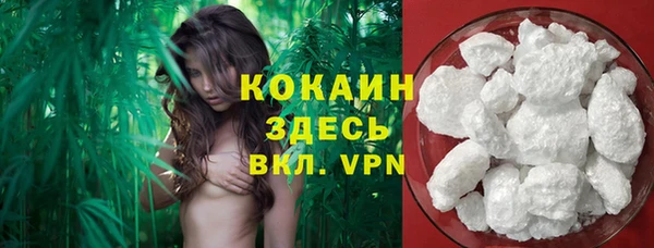 мяу мяу мука Абаза