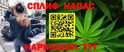 шишки Заводоуковск