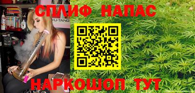 шишки Заводоуковск