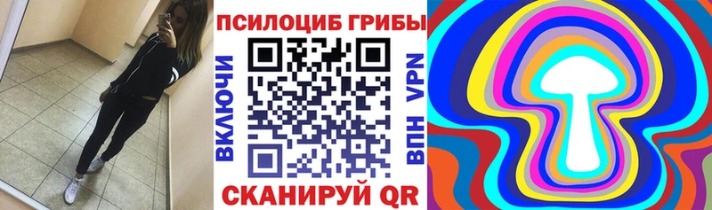 Псилоцибиновые грибы ЛСД где продают Нальчик